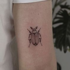 a small beetle tattoo on the arm