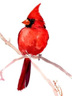 a watercolor painting of a cardinal sitting on a branch with its beak open and eyes closed