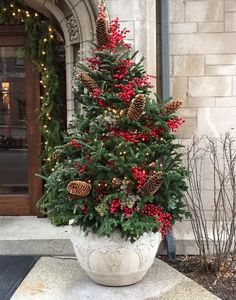 a potted christmas tree with red berries and pine cones in front of a building