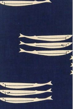 four different types of fish on a dark blue background with white lines in the middle