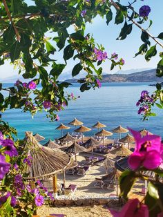 purple flowers and straw umbrellas on the beach