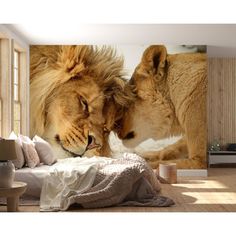 two lions face each other in front of a wall mural