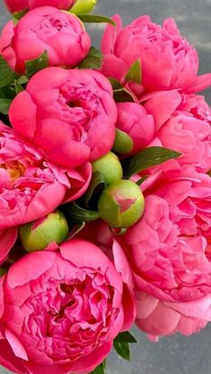 a bouquet of pink peonies in a vase