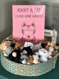 a basket filled with stuffed animals sitting on top of a table next to a sign that says adopt a cat lounging home wanted