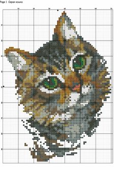 a cross stitch pattern with a cat's face in the center and green eyes