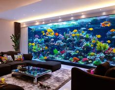 Transform your space with a big fish tank, adding a touch of underwater beauty to your beautiful living room. #AquaticSerenity #BeautifulLivingRoom #FishTankDecor #HomeStyle #UnderwaterBeauty Fish Tank Home Decor Living Rooms, Aquarium Home Design, Large Aquarium In Living Room, Fish Tank In Room, Fish Aquarium Ideas For Living Room, Large Fish Tank Ideas, Aquarium In House, Aquarium Ideas Decoration, Diy Fish Tank Decorations