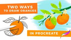 two ways to draw oranges in procreate with markers and colored pencils