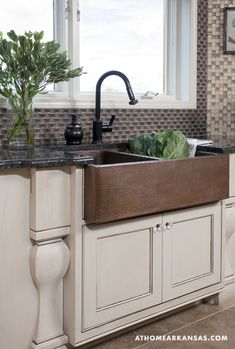 a kitchen sink sitting under a window next to a potted plant on top of a counter