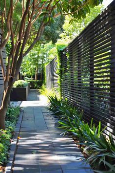 a walkway between two buildings with trees and plants