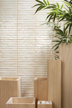 three wooden vases sitting next to each other in front of a wall with plants