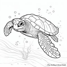 a turtle swimming in the ocean coloring page