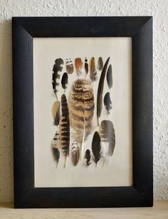 an owl is surrounded by feathers in a shadow box frame on a shelf next to a wall