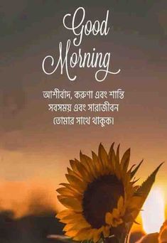 a sunflower with the words good morning written in english and an image of a sunset behind it