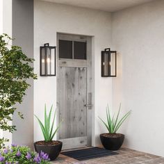 two potted plants sit in front of a door on the side of a house