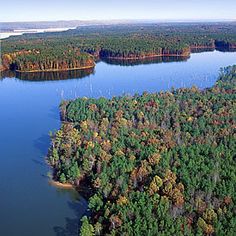 an aerial view of a lake surrounded by trees