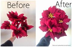 the before and after pictures show how to make poinsettia flowers