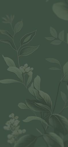 a green wallpaper with leaves and flowers on the left hand side, in shades of grey