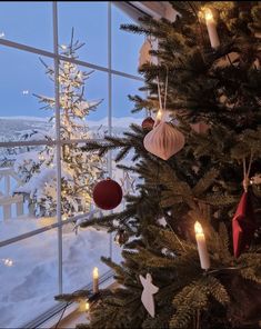 a christmas tree in front of a window with lit candles and ornaments hanging from it