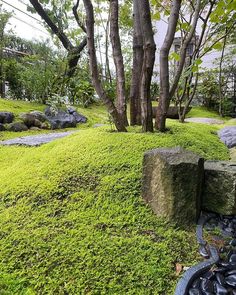 there is a large rock in the middle of this grass covered area with trees and rocks