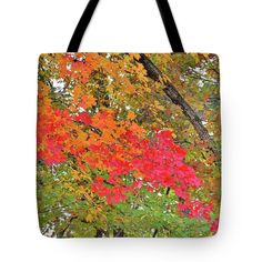 Autumn Leaf Color, Leaf Peeping, Green Tote Bag, Green Tote