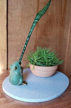 a green plant sitting on top of a table next to a potted plant