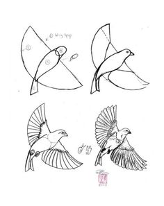 four drawings of birds flying in the air