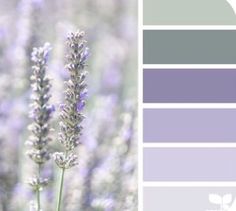 the color scheme is lavender and gray