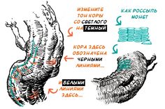 an image of a hand with instructions on how to use it