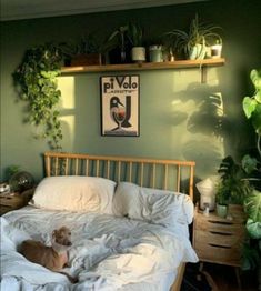 a dog laying on top of a bed in a room with green walls and plants