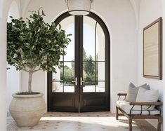 a large potted plant sitting in front of a doorway