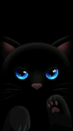 a black cat with blue eyes and paws