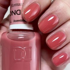 Dnd Romantic Lover, Daisy Nail Designs, Dnd Gel Nail Polish, Romantic Lover, Dnd Gel Polish, Ulzzang Makeup, Dip Nails, Daisy Nails, Best Nail Polish