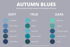 the color scheme for autumn blues