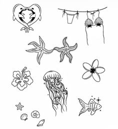 an ink drawing of jellyfish, starfish and other marine creatures