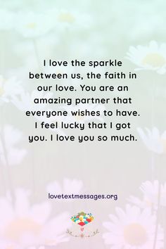 the quote i love the sparkle between us, the faith in our love you are an amazing partner that everyone wishes to have