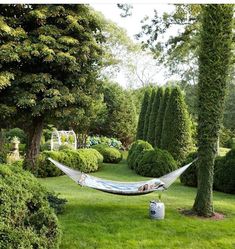 a hammock hanging between two trees in a garden