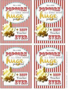 four red and white striped popcorn boxes with popcorn in them