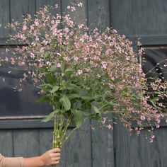 a person holding a bouquet of flowers in their hand with the background of a barn door