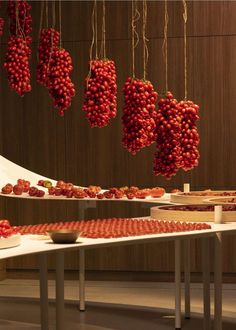 some red berries hanging from the ceiling in a room