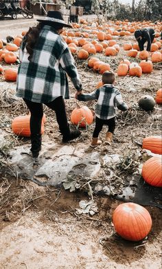 a woman and her child are picking pumpkins