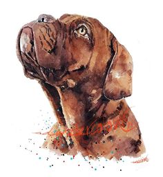 a watercolor painting of a brown dog