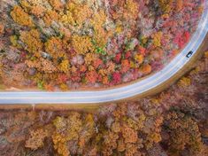 an aerial view of a road surrounded by trees in the fall with leaves changing colors