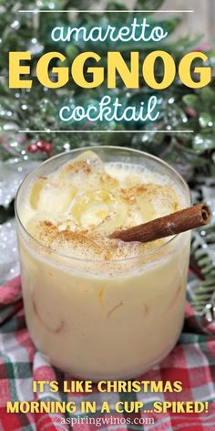 an eggnog cocktail in a glass with cinnamon on top