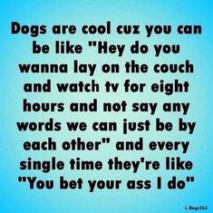 a quote that says dogs are cool cuz you can be like hey do you wanna lay on the couch and watch tv for eight hours