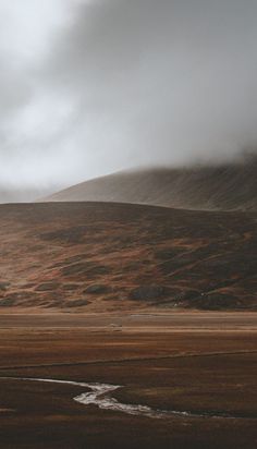 two horses are standing in the middle of a field with mountains in the back ground