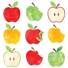 watercolor apples and apple slices on white background