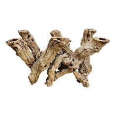 driftwood pieces on white background with clipping path to the top left and bottom right