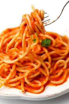 a fork full of spaghetti on a white plate