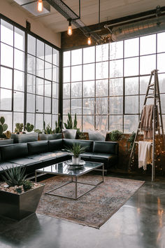 a living room filled with lots of windows and furniture next to plants on the floor