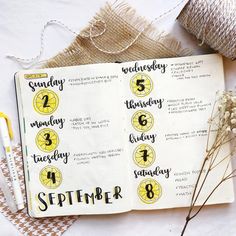 40 juicy Citrus Bullet Journal Theme Ideas | My Inner Creative   #discoverbulletjournal #bulletjournaladdict #bulletjournaling #bujo #bulletjournal #bulletjournalspread #bujoinspiration #planwithme #bulletjournalcollection  #bulletjournal #bulletjournalcommunity  #citrus #citrusbujotheme #citrusbulletjournalideas Filofax Pocket, May Bullet Journal, Bullet Journal Work, Bullet Journal How To Start A